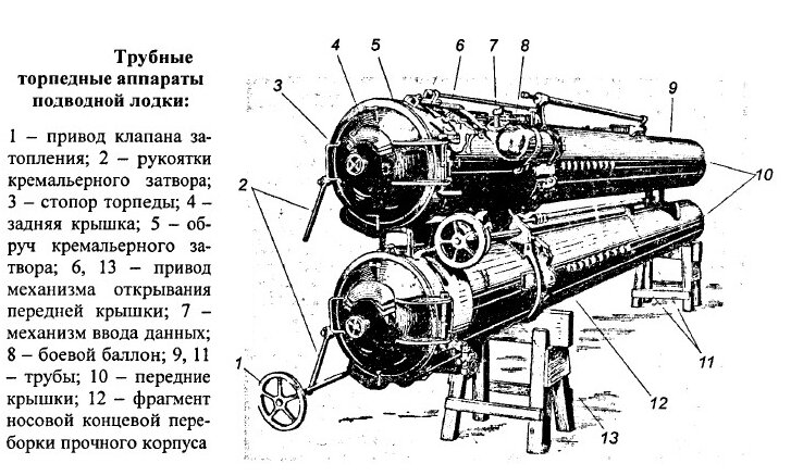 scale_1200.jpg