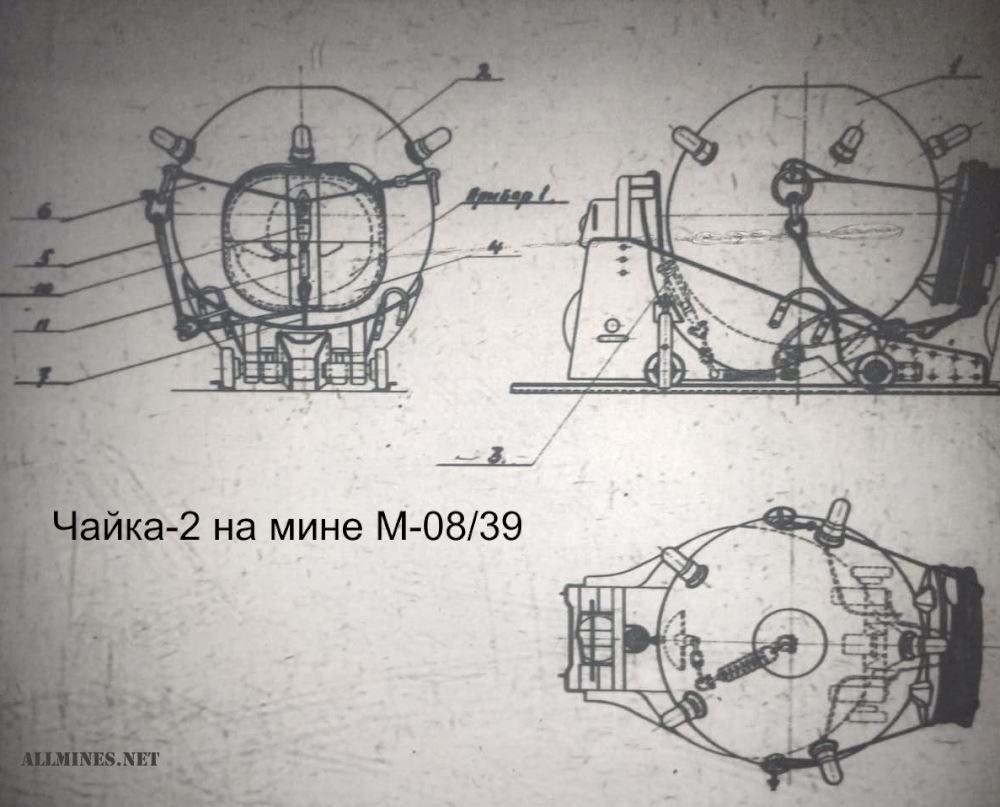 Чайка 2 с М08.jpg