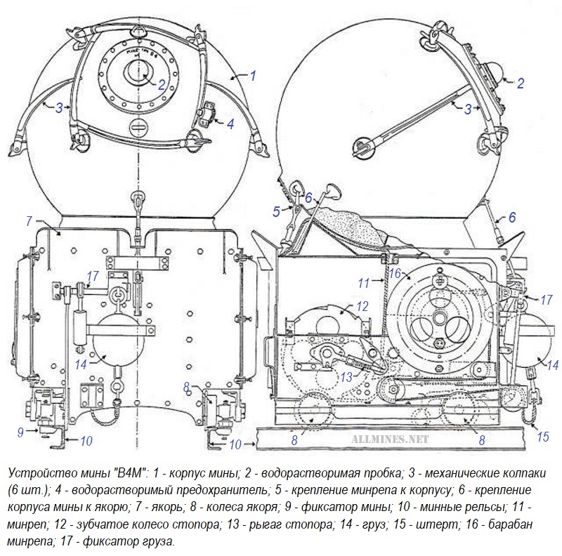 B4_800D_800AMN.jpg